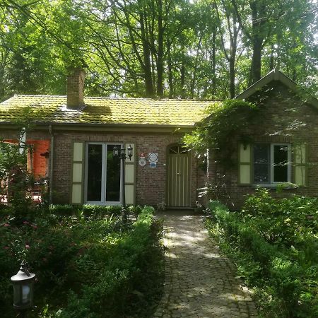 Rainbow Lodge Ursel Bagian luar foto